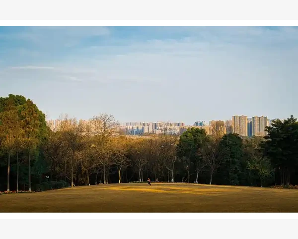 MT4手机版行情走势查看全流程详解