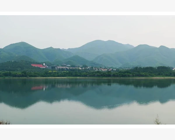 MT4界面显示语言切换步骤与常见问题处理