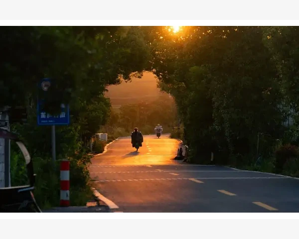MT4连续K线涨跌预警设置全程解析_MT4连续K线涨跌预警设置全程解析