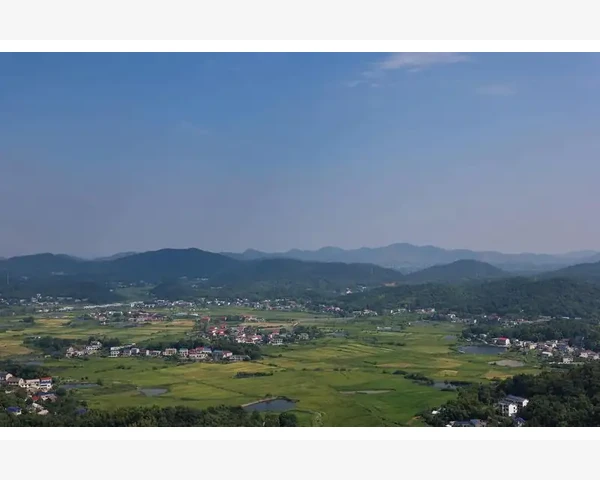 MT4报价列表秒开技巧让你交易快人一步