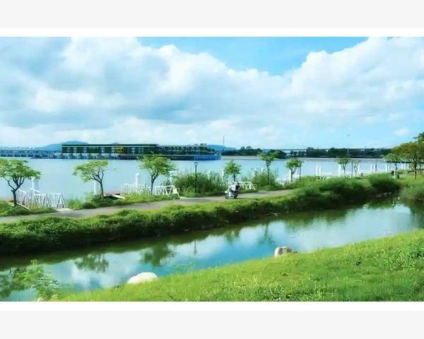 MT4电脑端邮件提醒失灵原因与修复全解