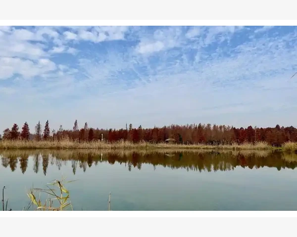 MT4自定义模板重塑交易习惯提升胜率