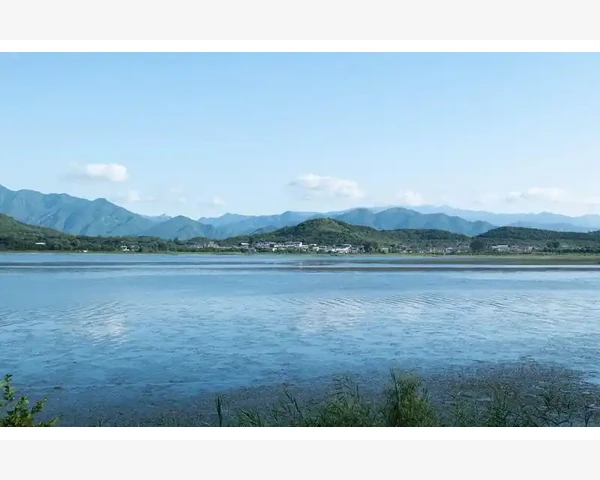 凌晨三点改止损距离的碎碎念跟MT4较劲那点事_模板功能让多图表风格统一不再繁琐
